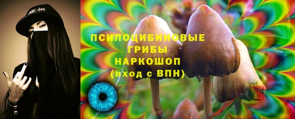 прущие крисы Алзамай