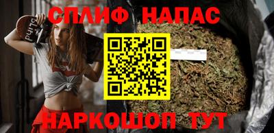 мдпв Татарск