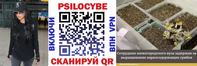 Псилоцибиновые грибы MAGIC MUSHROOMS  Куйбышев 