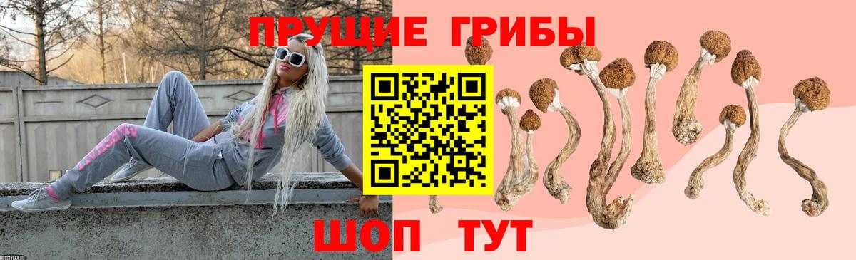 Галлюциногенные грибы мицелий  Вход с VPN  Галлюциногенные грибы мицелий  Куйбышев 